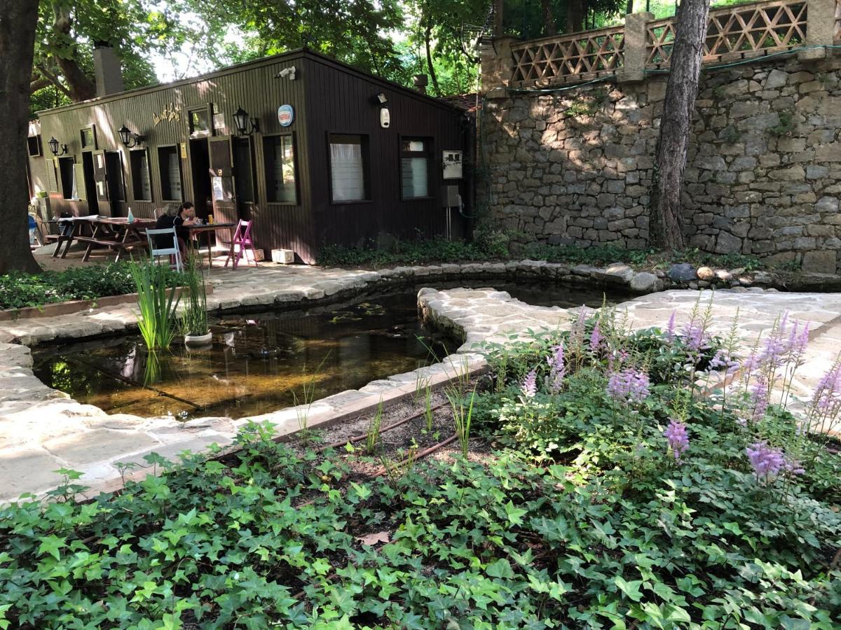 Escloper B&B Sant Juliá de Vilatorta Buitenkant foto